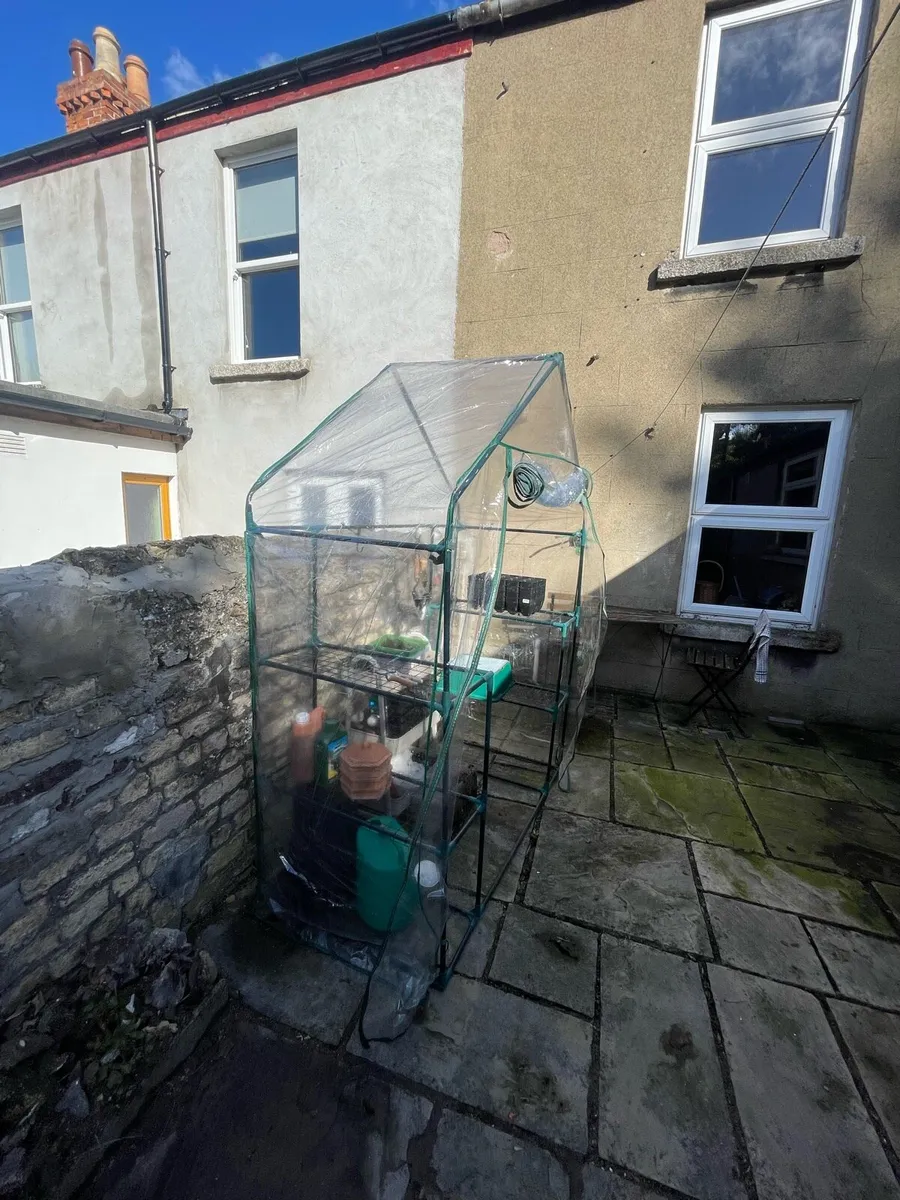 Walk in Plastic Greenhouse - Image 1