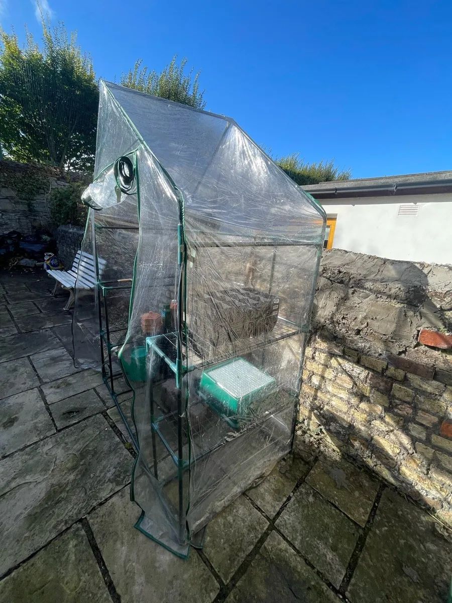 Walk in Plastic Greenhouse - Image 2