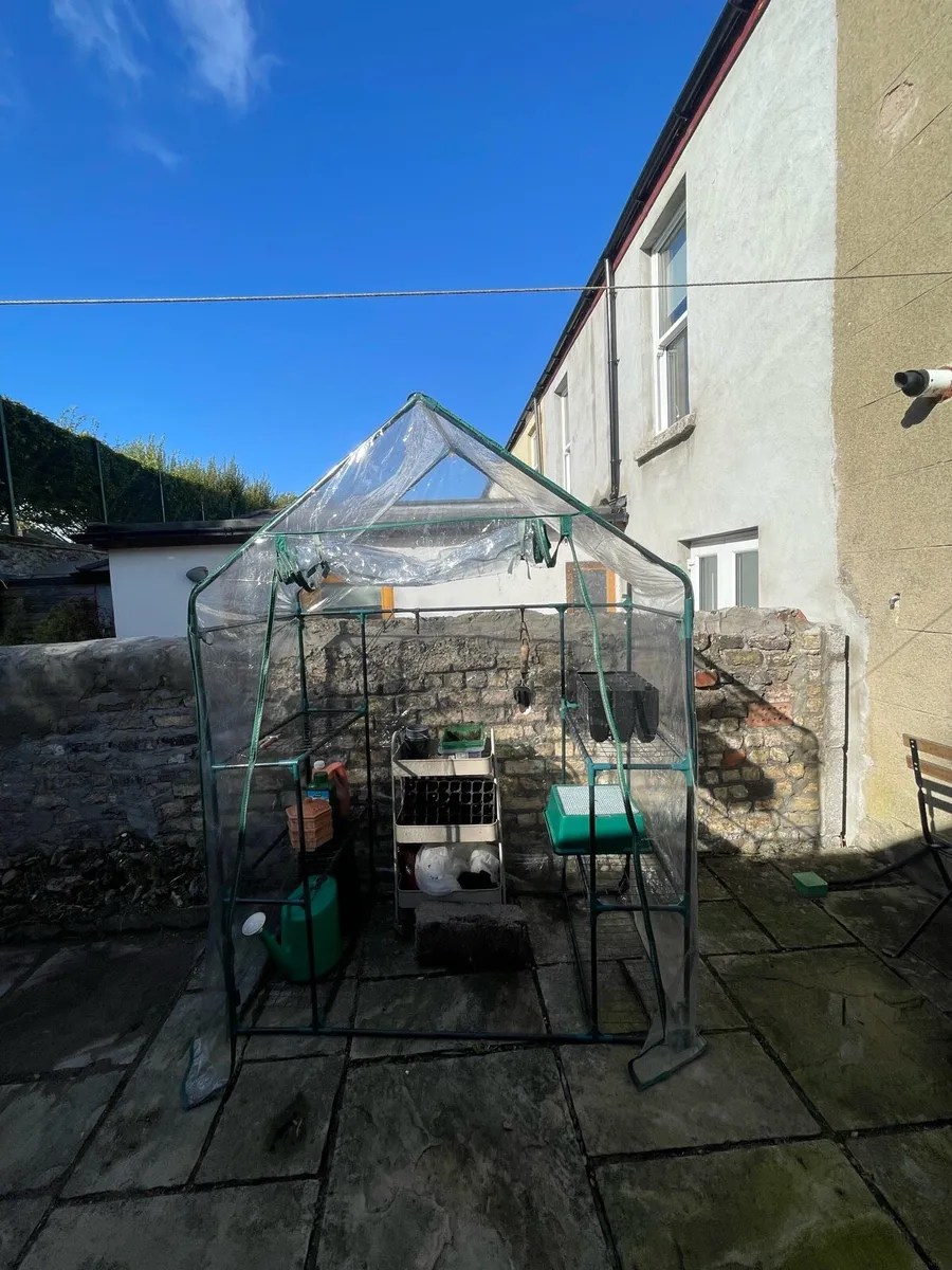 Walk in Plastic Greenhouse - Image 3
