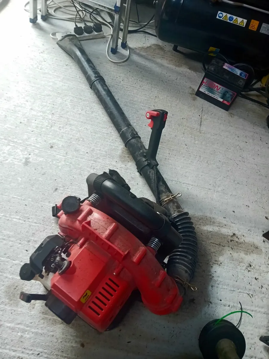 Leafblower 43cc - Image 2