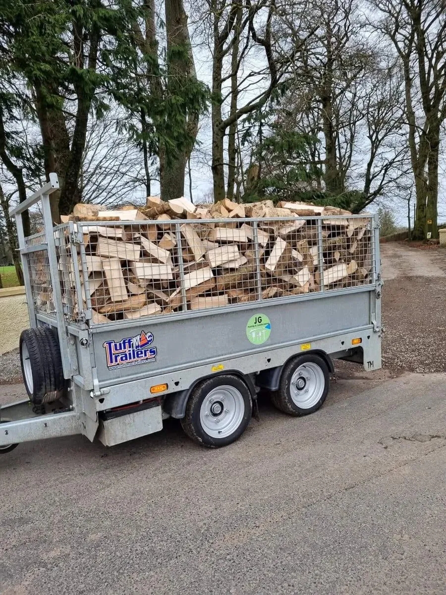 FIREWOOD - Image 1