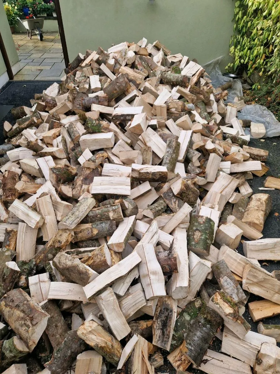 FIREWOOD - Image 2