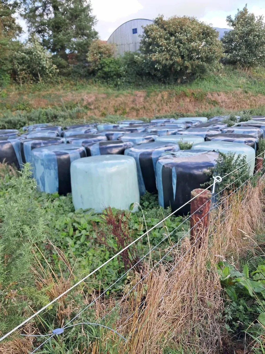 Silage & Haylage