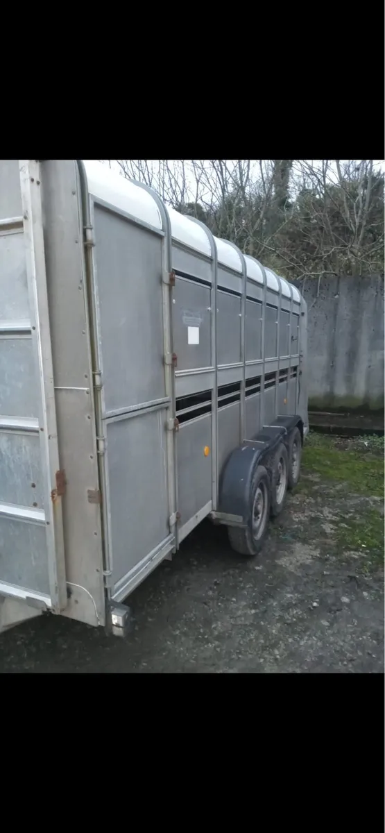 14 foot cattle trailer - Image 3