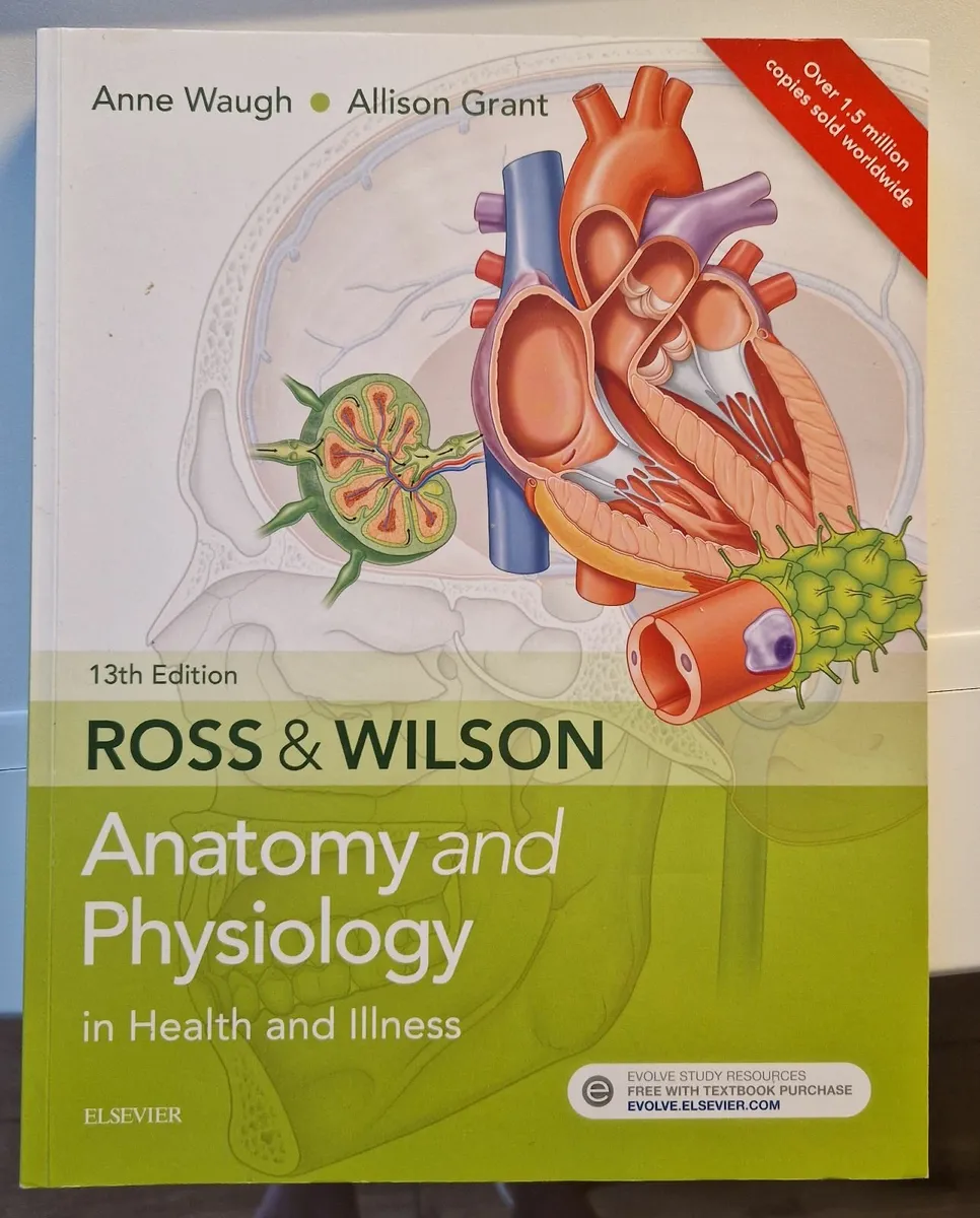 Ross & Wilson Anatomy and Physiology in Health & I - Image 1