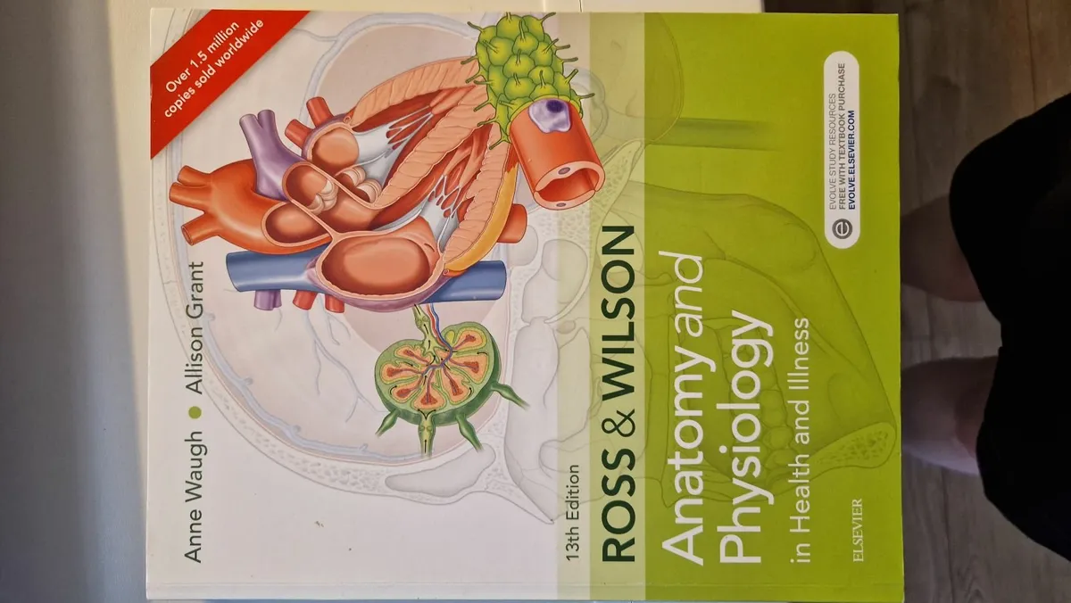 Ross & Wilson Anatomy and Physiology in Health & I - Image 4