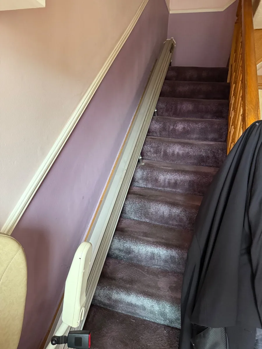 Platinum Horizon Straight Stairlift - Image 3