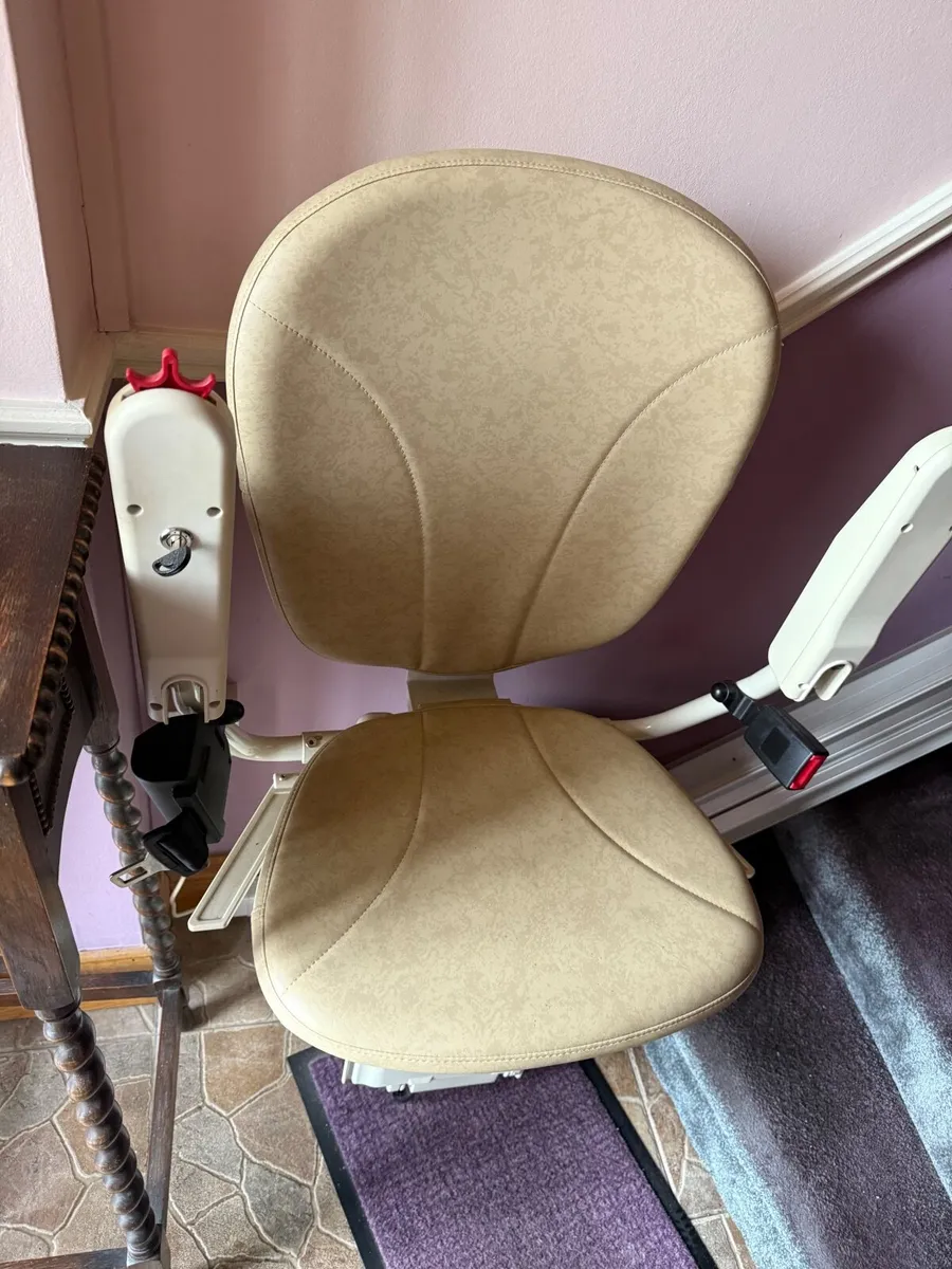 Platinum Horizon Straight Stairlift - Image 4