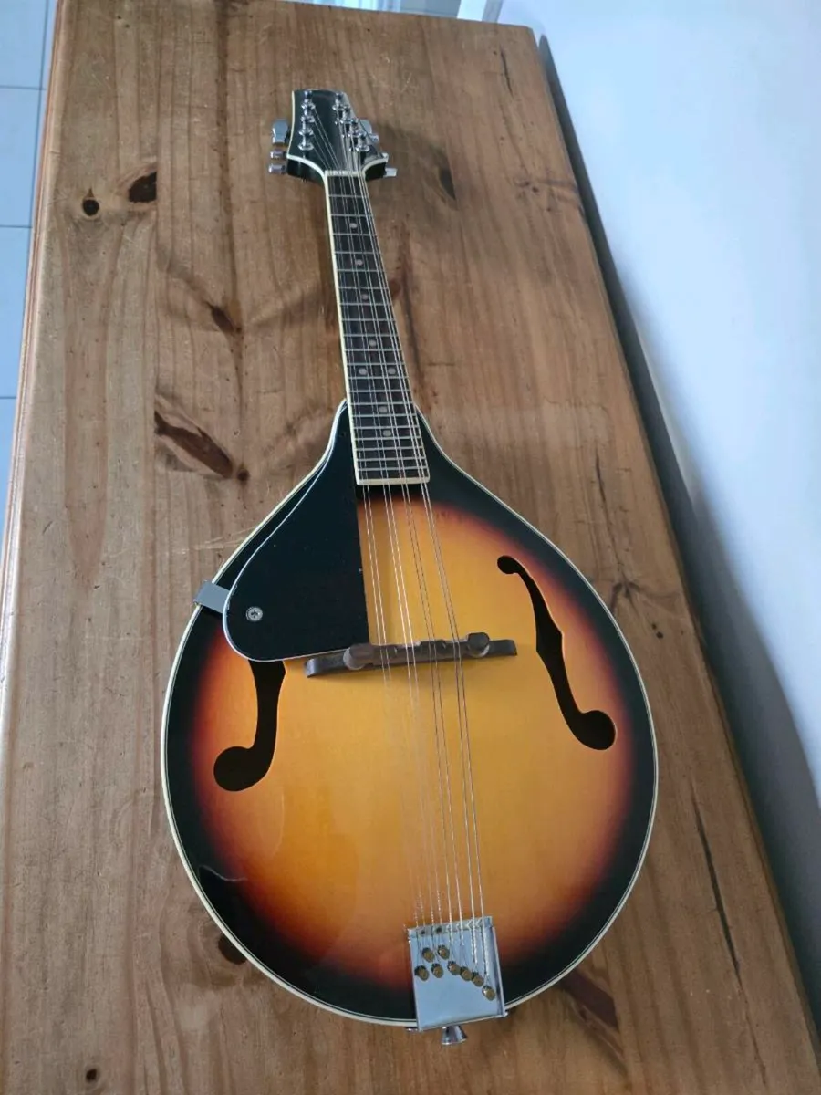 Mandolin - Image 4
