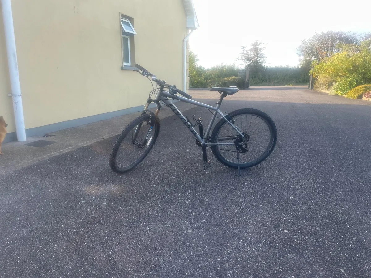 Mountain Bike - Image 1