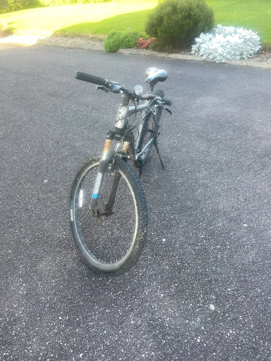 Mountain Bike - Image 2