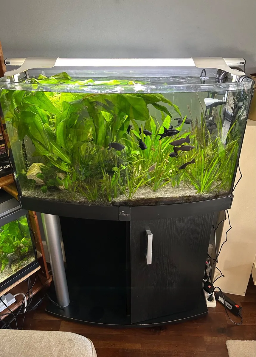 FISH TANK For Sale With LAMP And  FILTER - Image 1