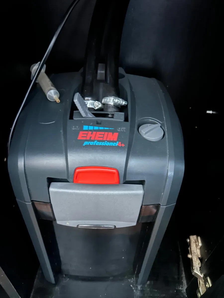 FISH TANK For Sale With LAMP And  FILTER - Image 3