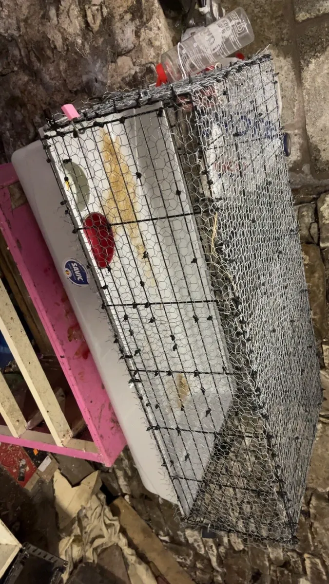 Rabbit cage - Image 2