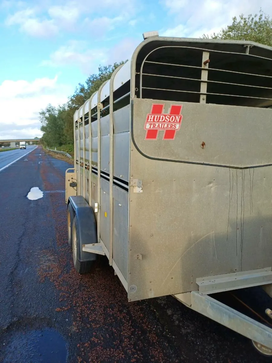Hudson 12ft c/w sheep decks - Image 1