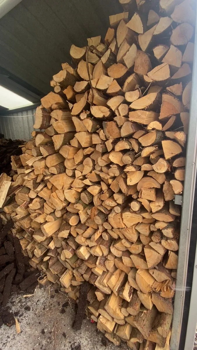 Firewood timber - Image 1