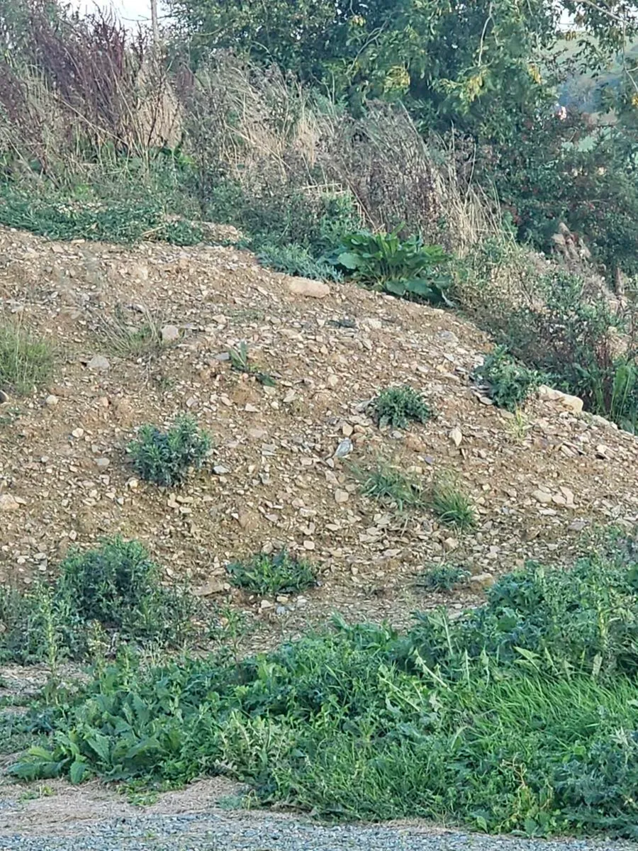 Site Filling