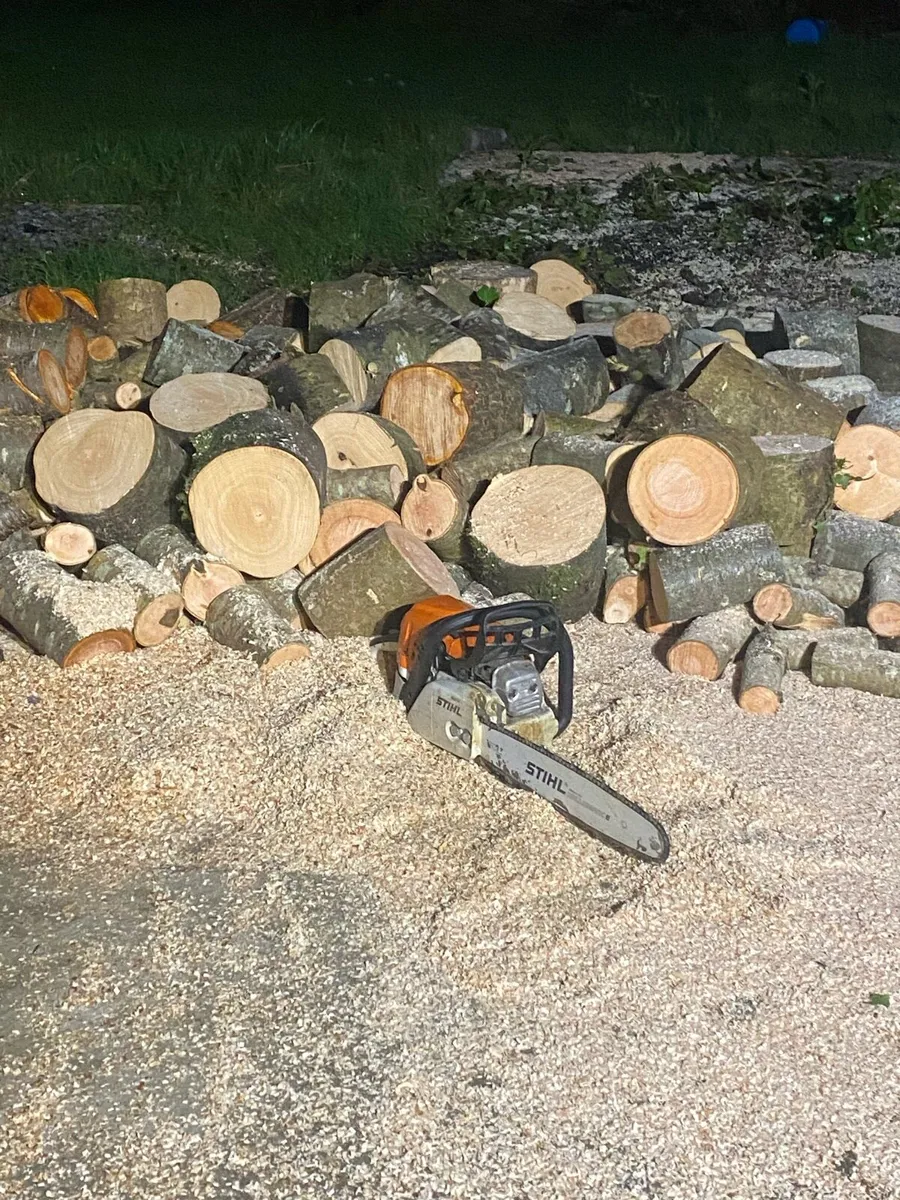 Firewood timber - Image 1