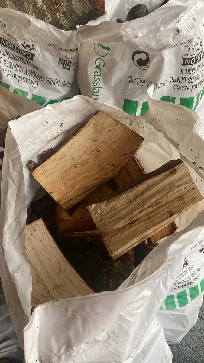 Firewood timber - Image 4