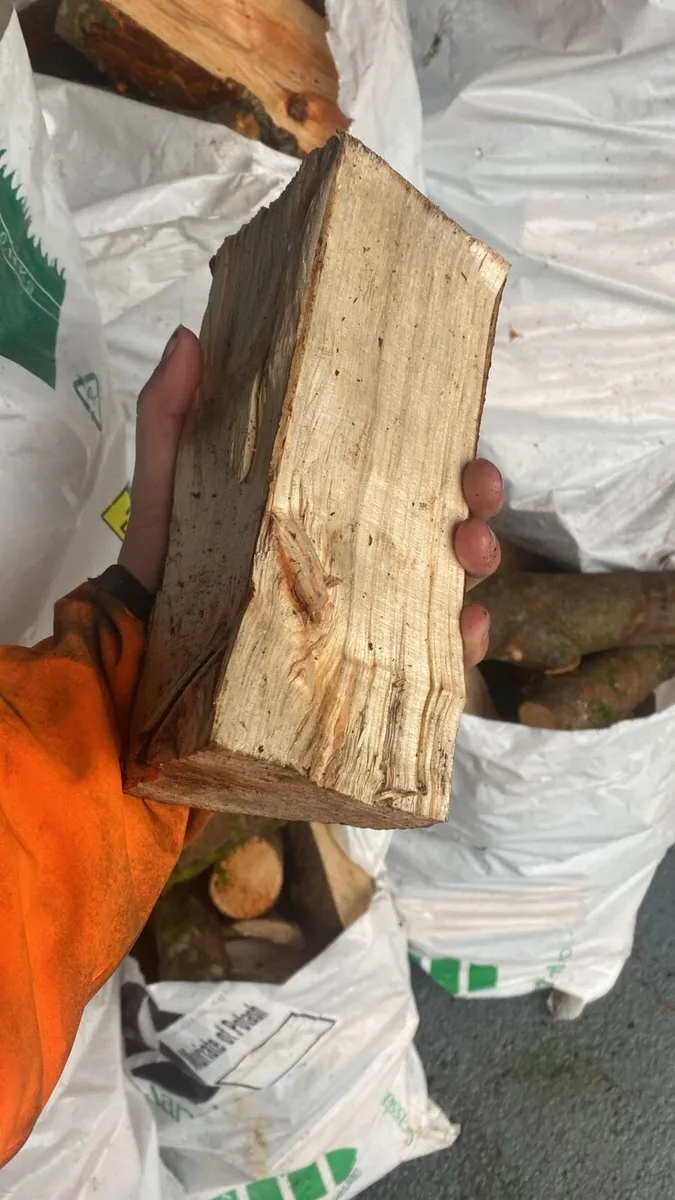 Firewood timber - Image 3