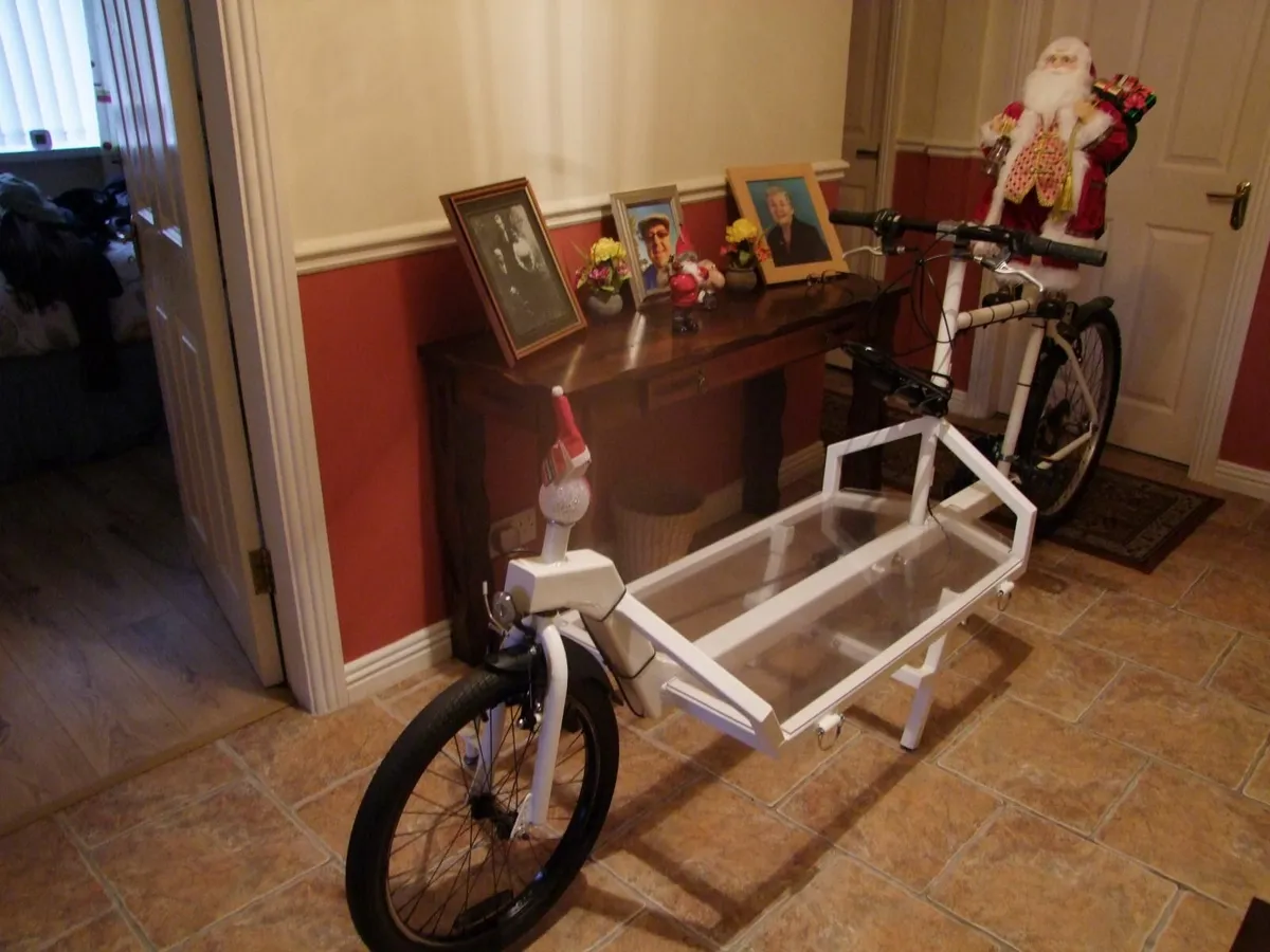 ELECTRIC CARGO - BIKE - Image 1
