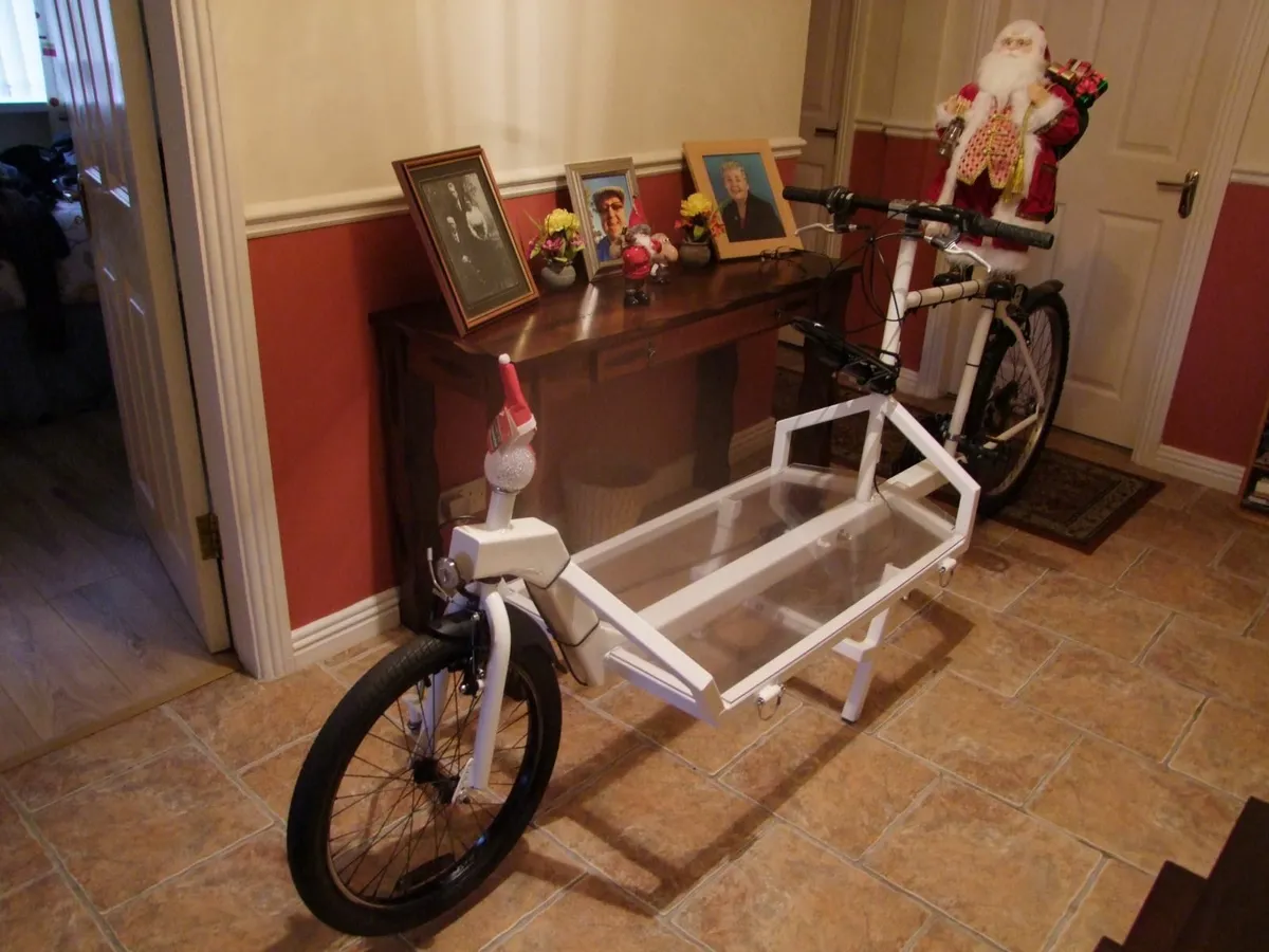 ELECTRIC CARGO - BIKE - Image 2