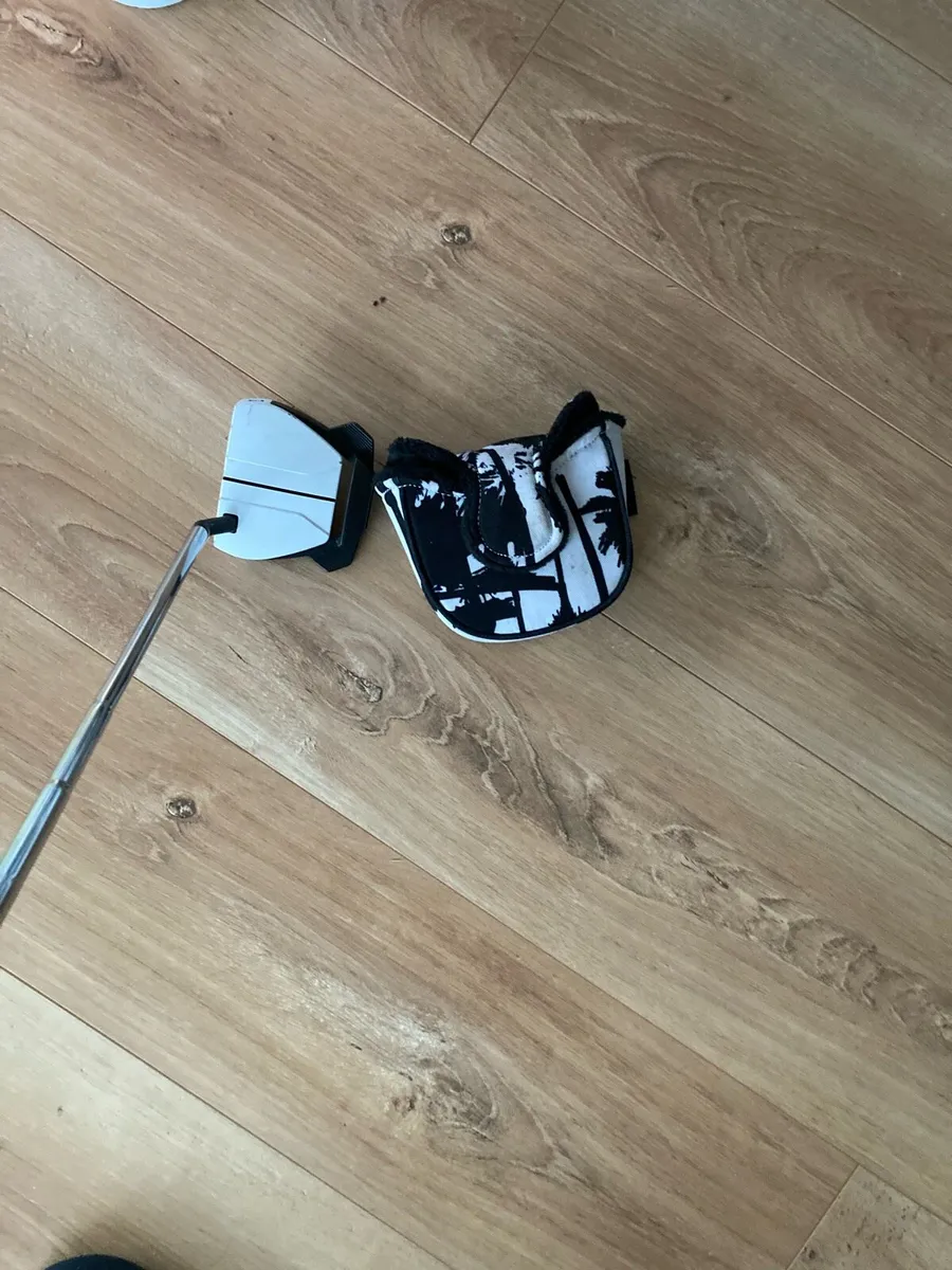 Taylormade spider putter - Image 2