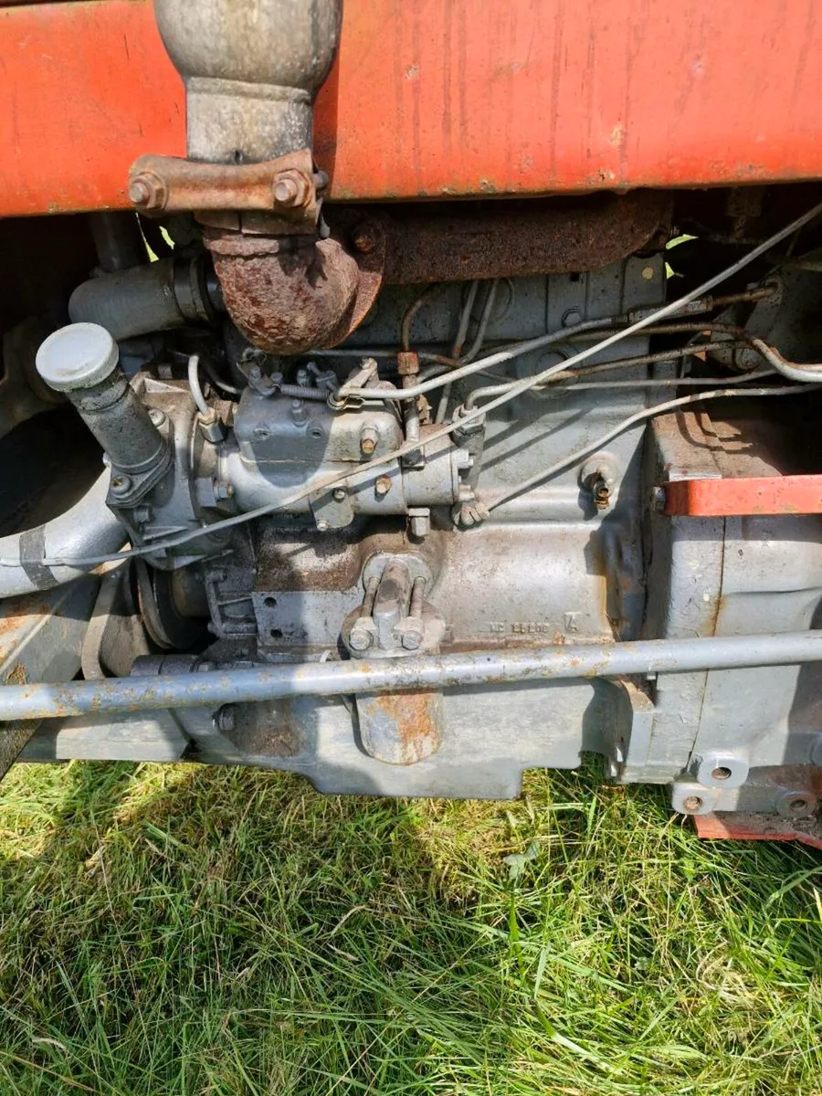 Massey 135 - Image 3