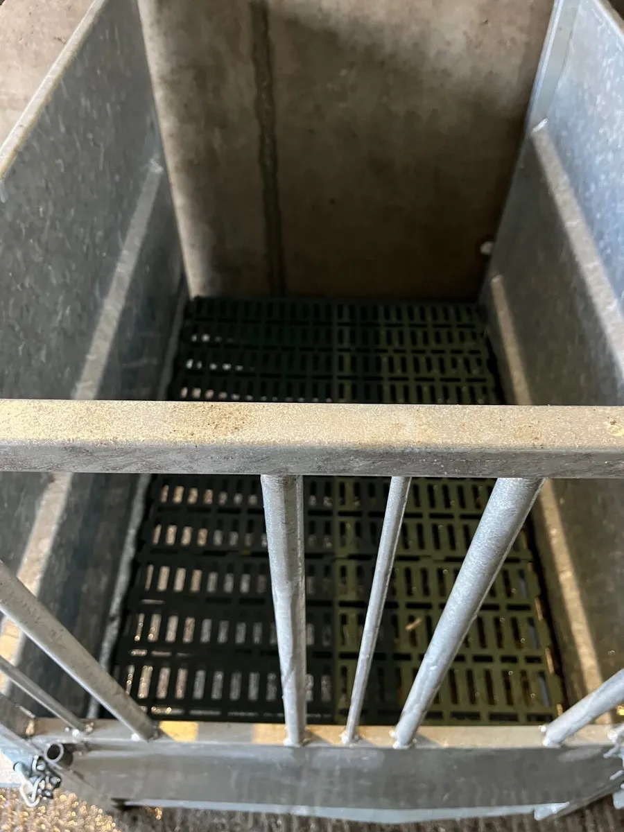 Calf pens x 16 - Image 1