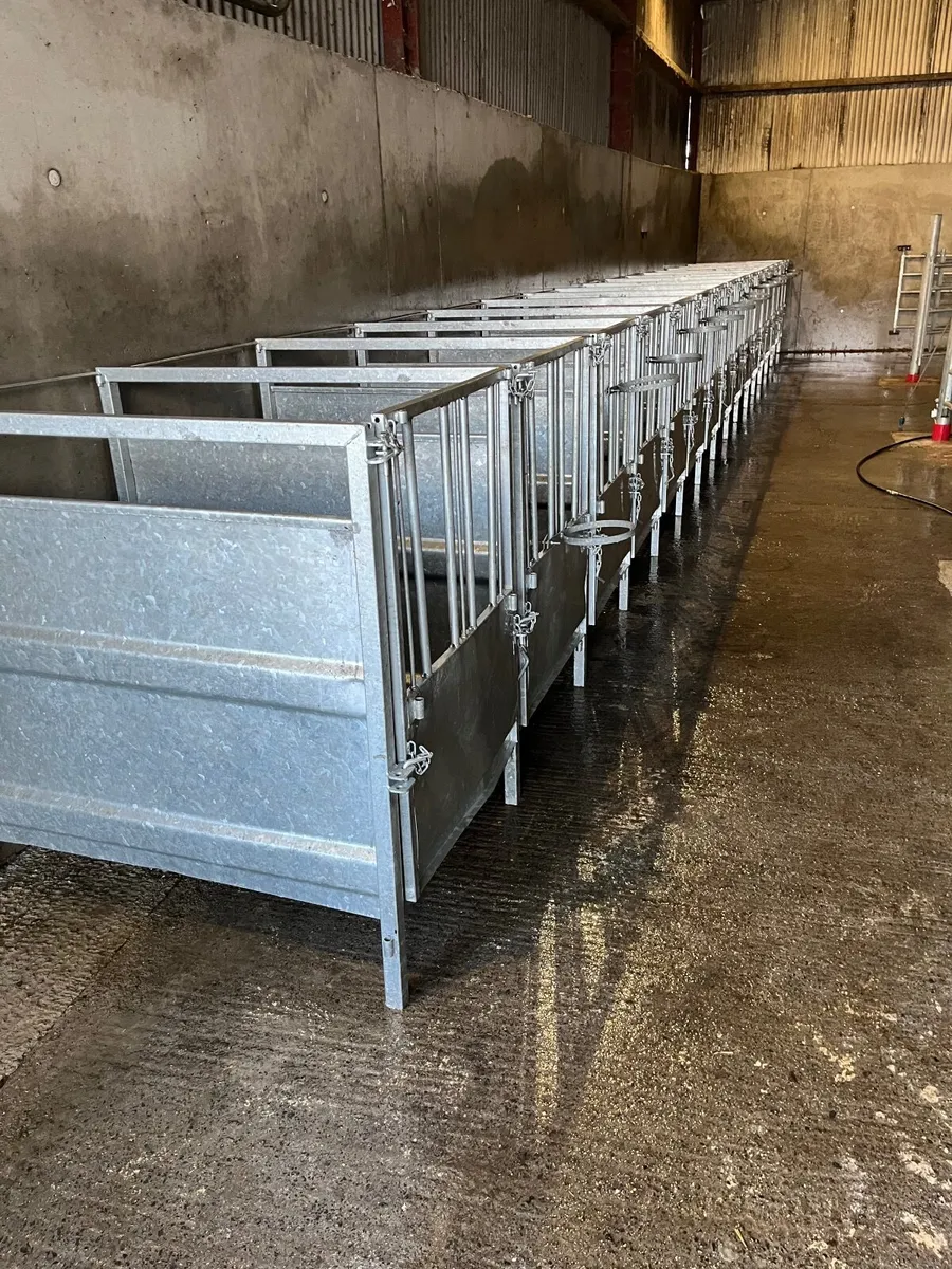 Calf pens x 16 - Image 3