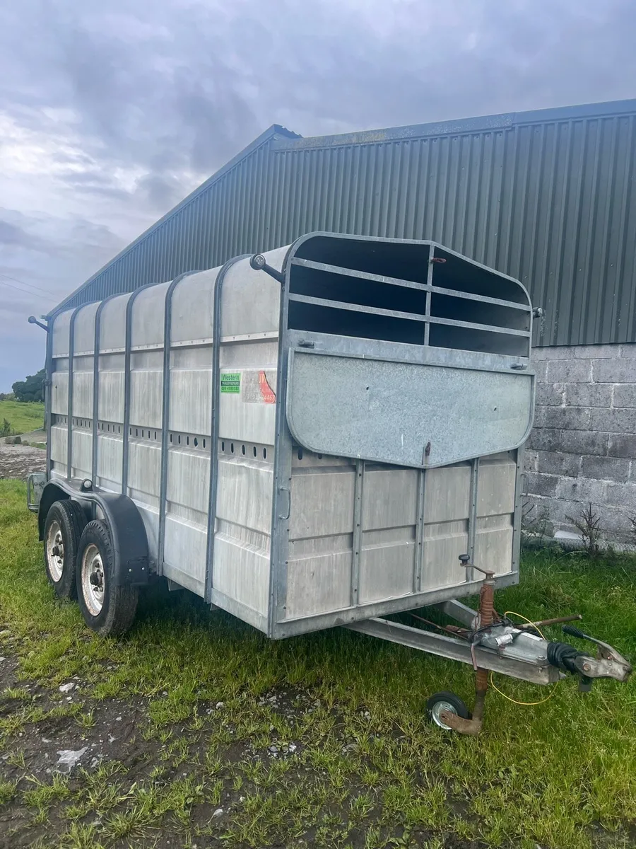 Jim Murphy cattle trailer - Image 1