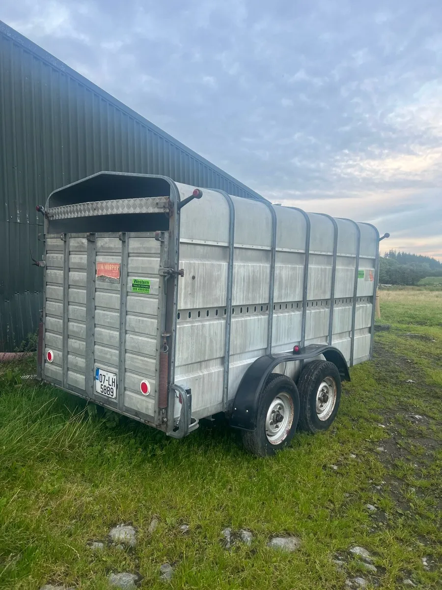 Jim Murphy cattle trailer - Image 2
