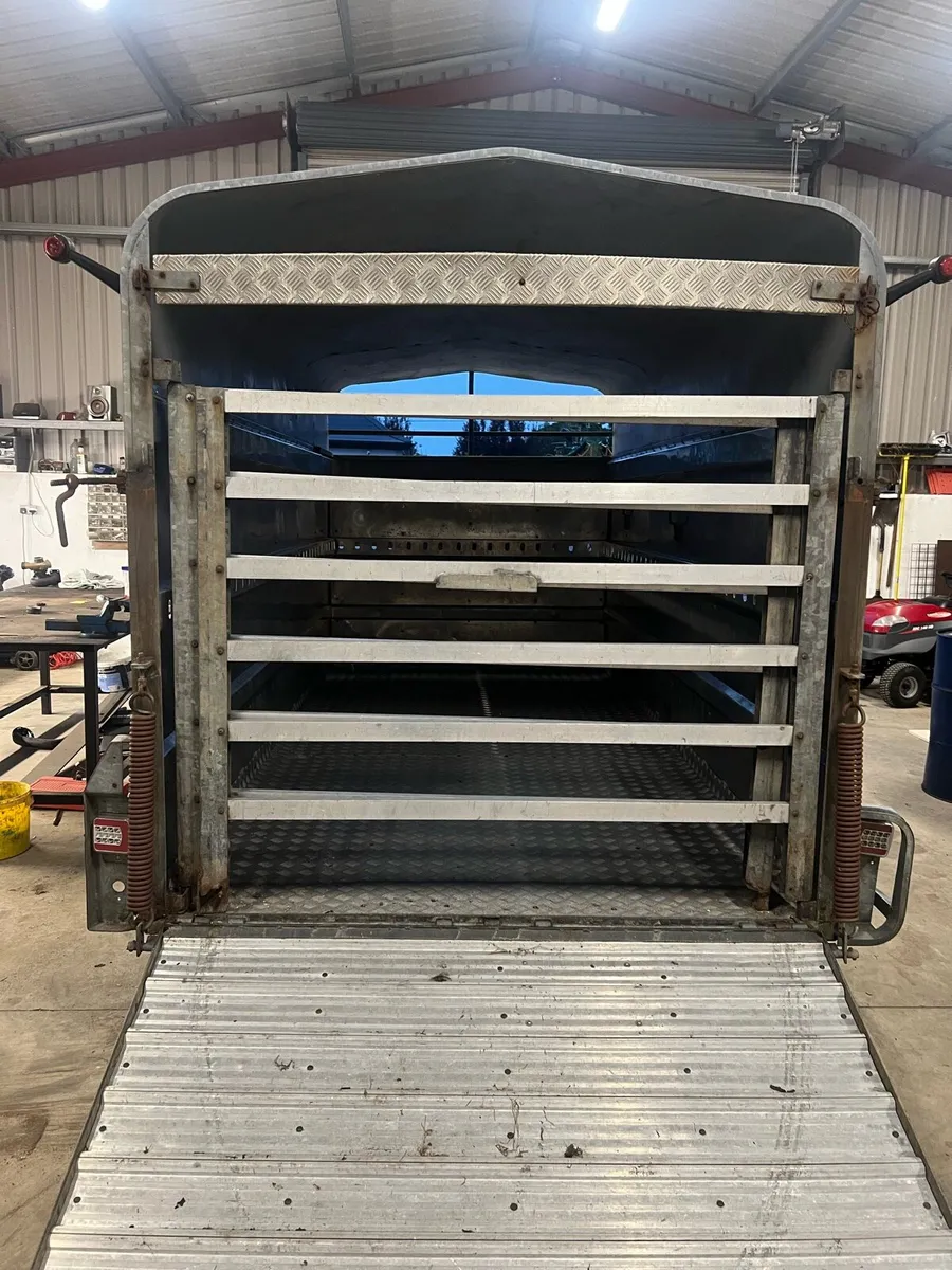 Jim Murphy cattle trailer - Image 4