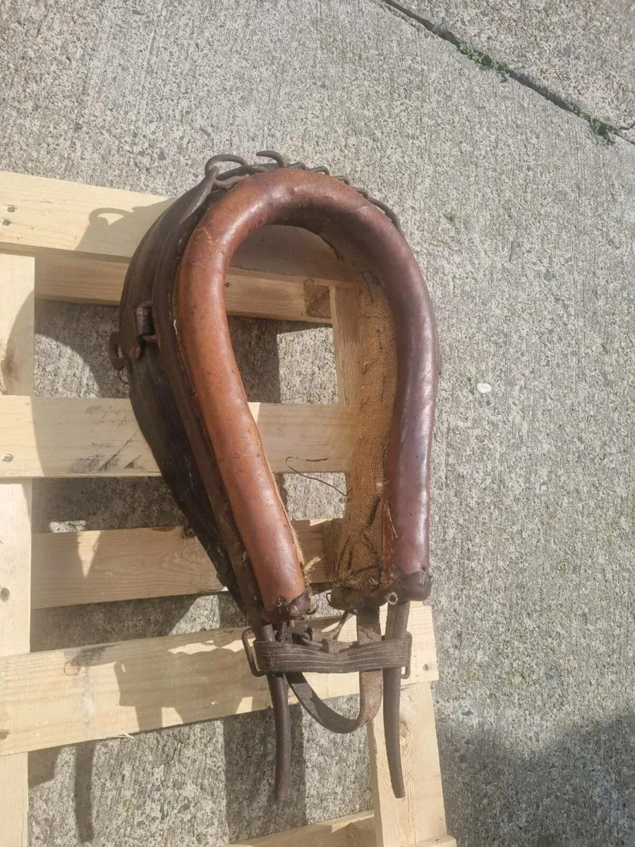 Old horse piece contact me for more - Image 1