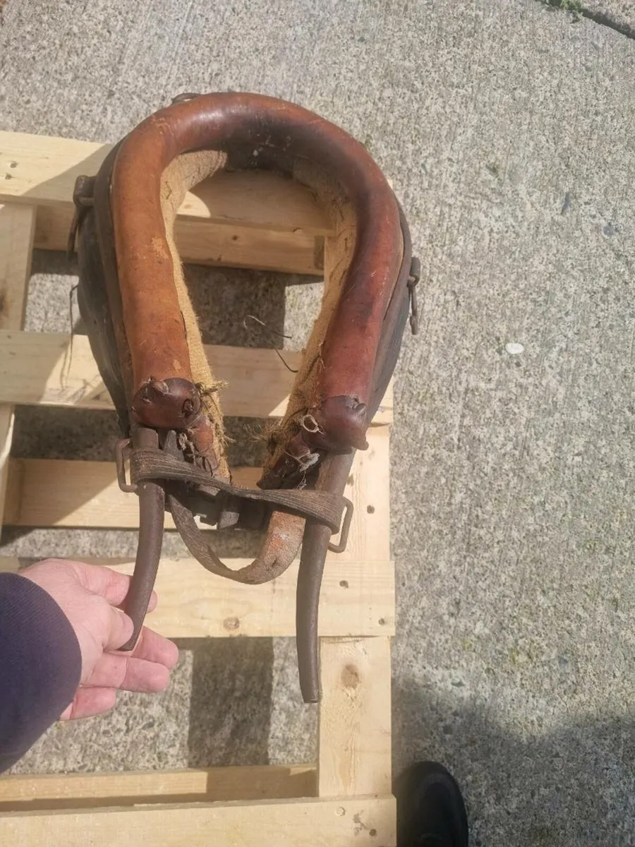 Old horse piece contact me for more - Image 2