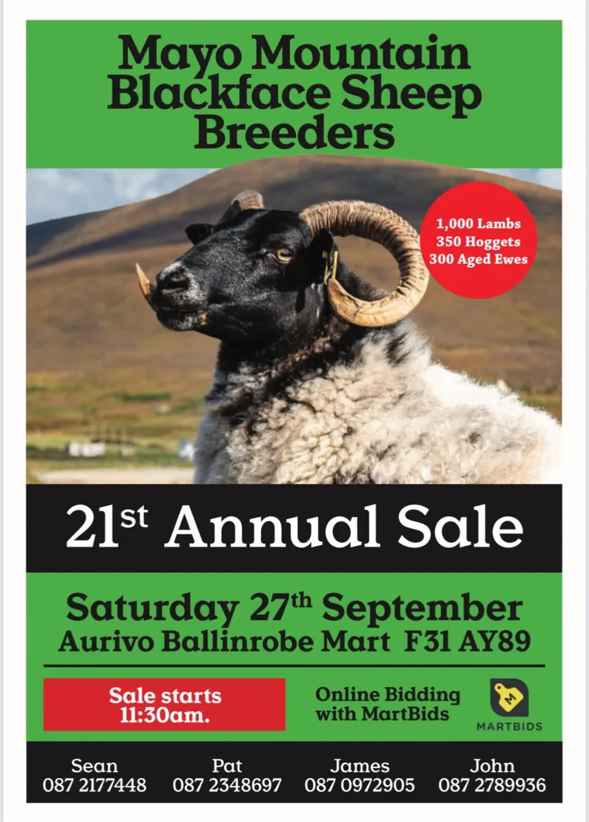 🌟Mayo blackface annual sale🌟 - Image 1