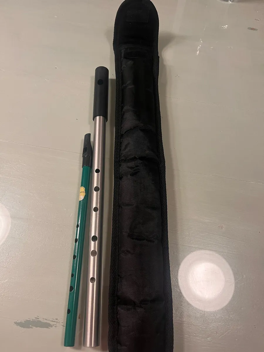 Beginner Flute - Image 1