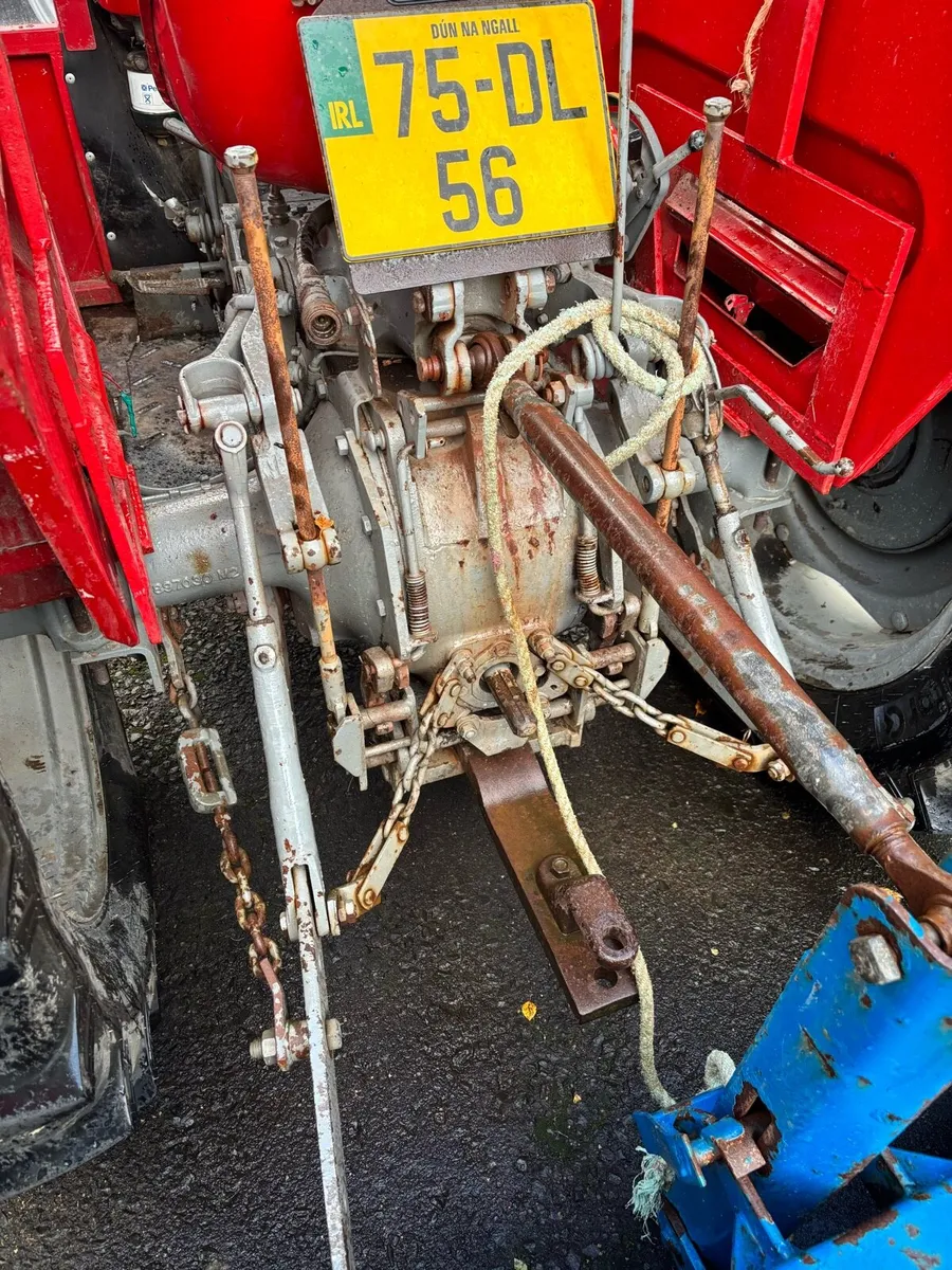 Mf 135 - Image 2
