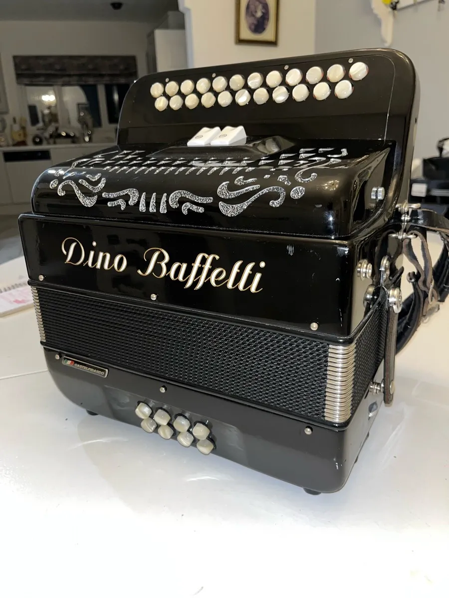 Dino Barrett Accordion - Image 2