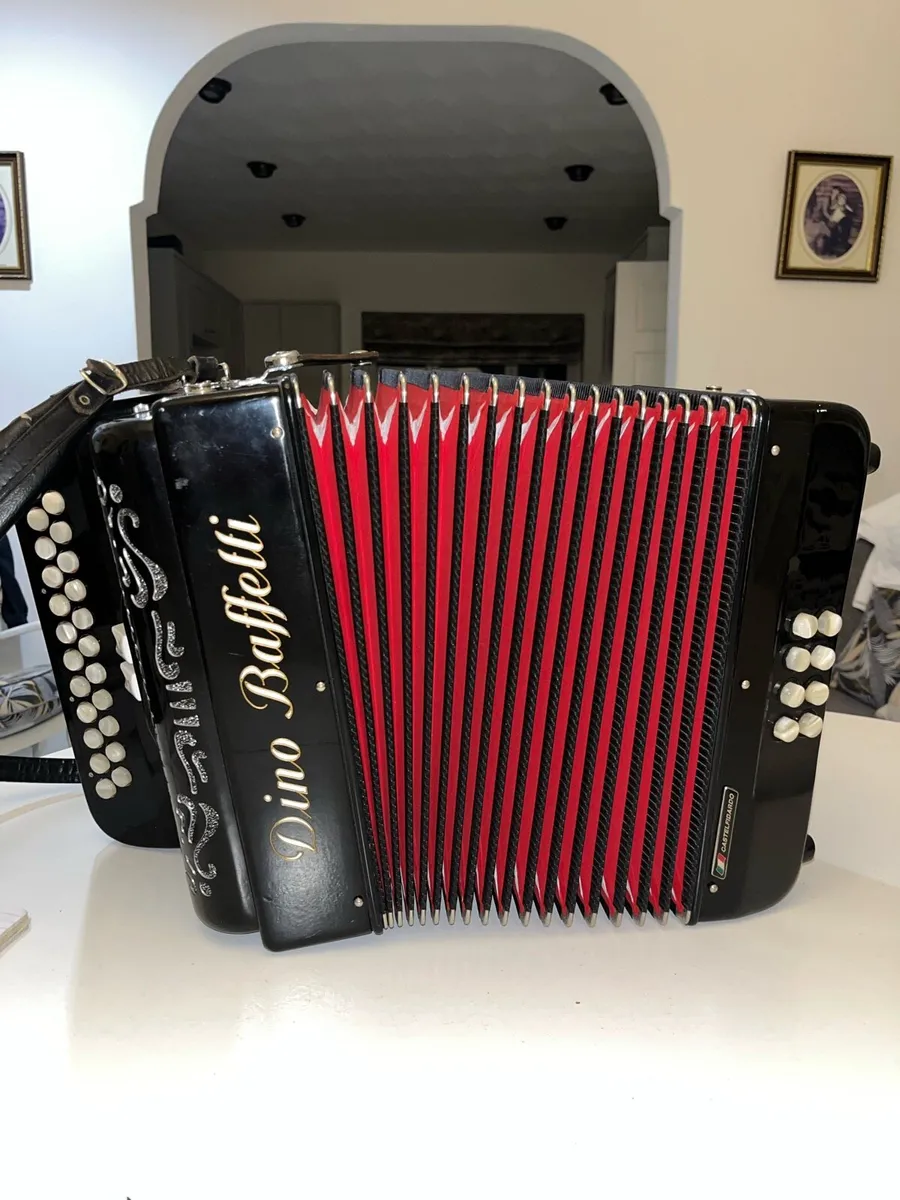 Dino Barrett Accordion - Image 3