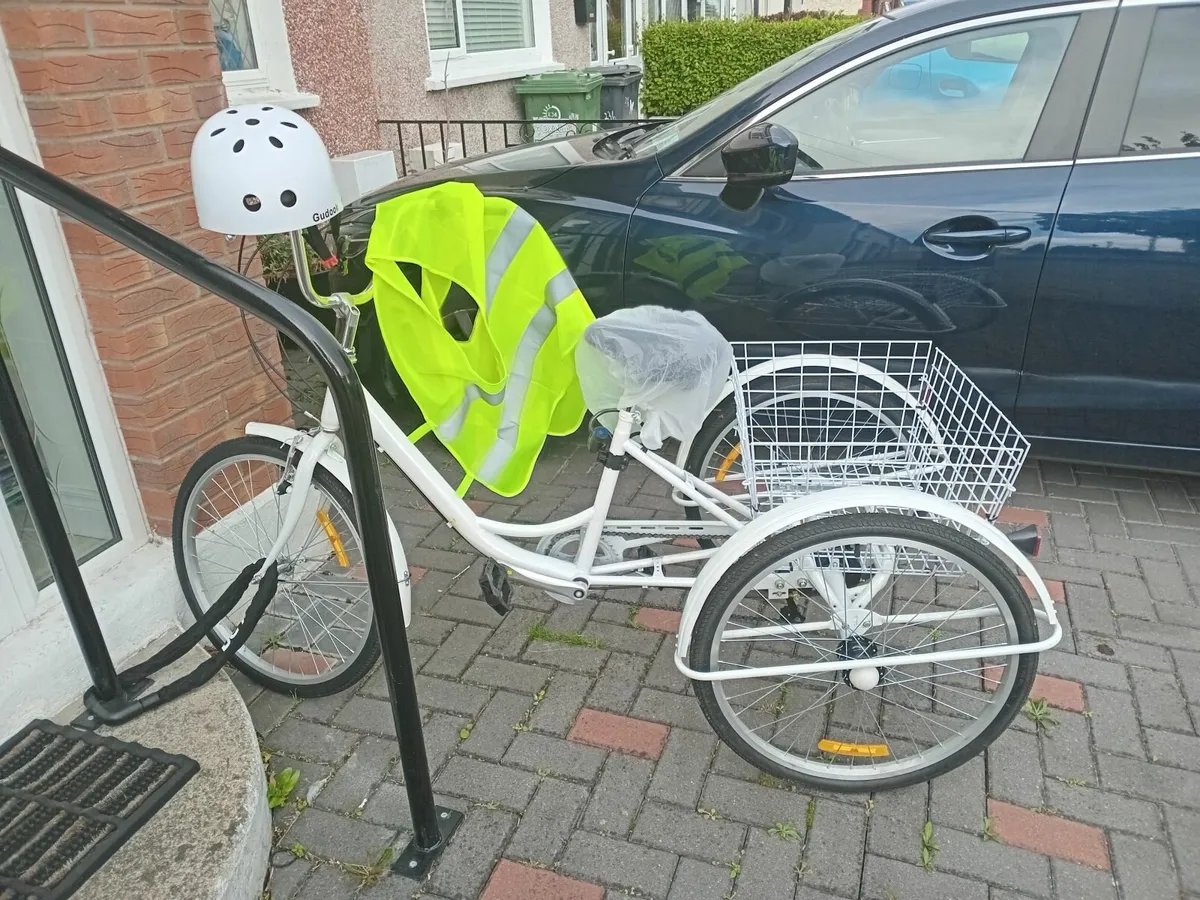 CillaMike tricycle - Image 2