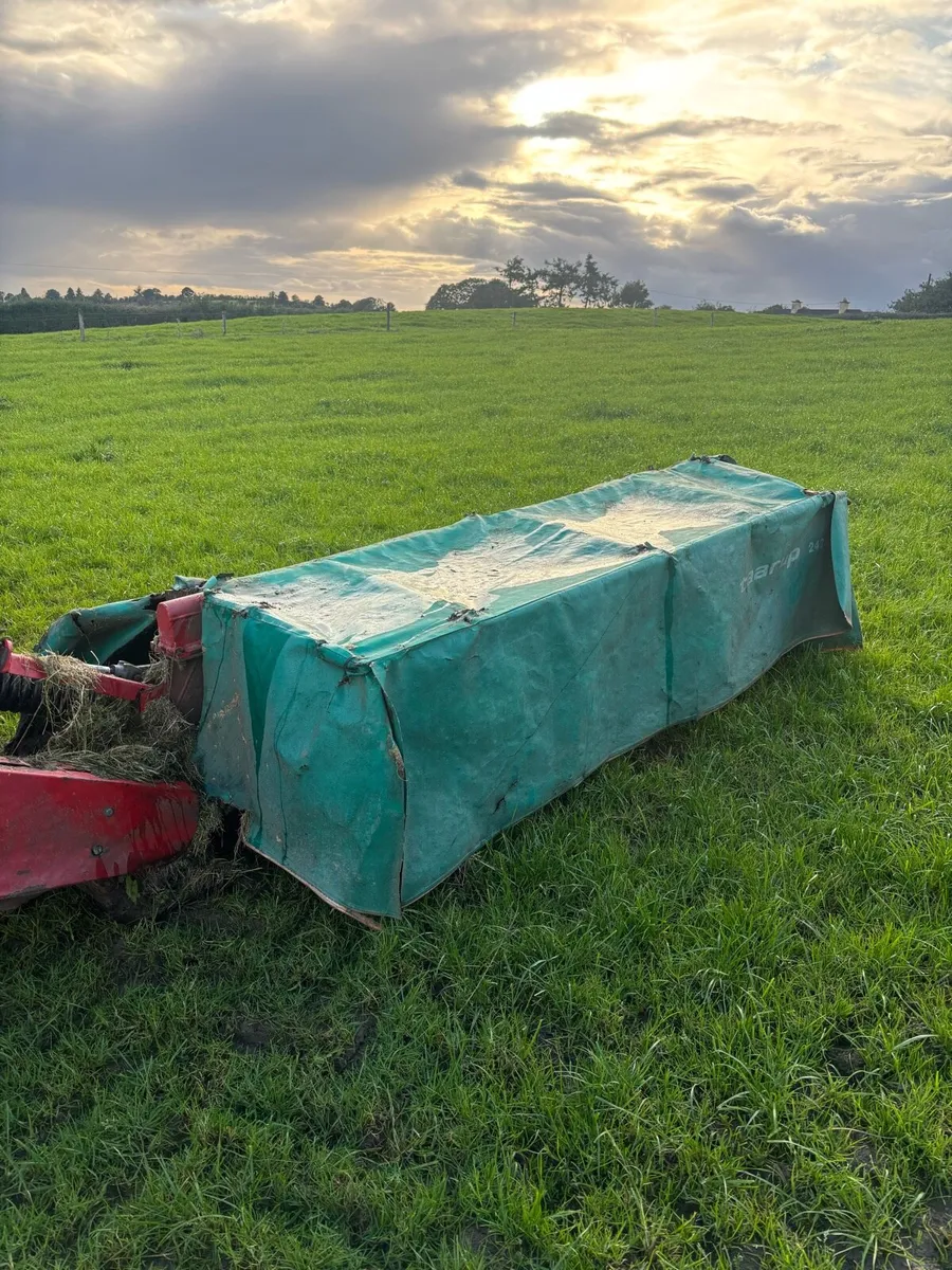 Mower - Image 2