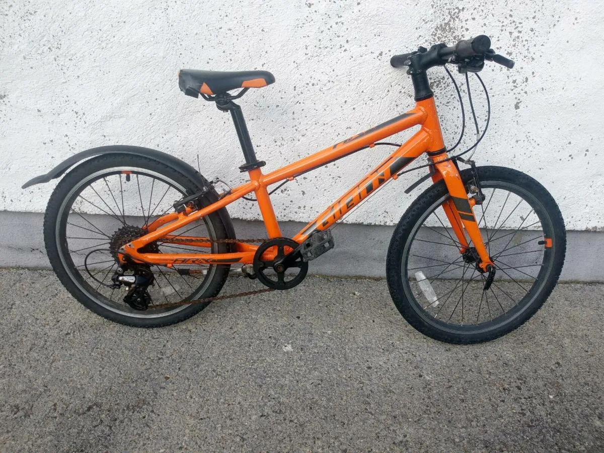 Giant Arx 20 (Lightweight kids bike) - Image 1