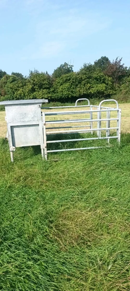 Calf Creep Feeder