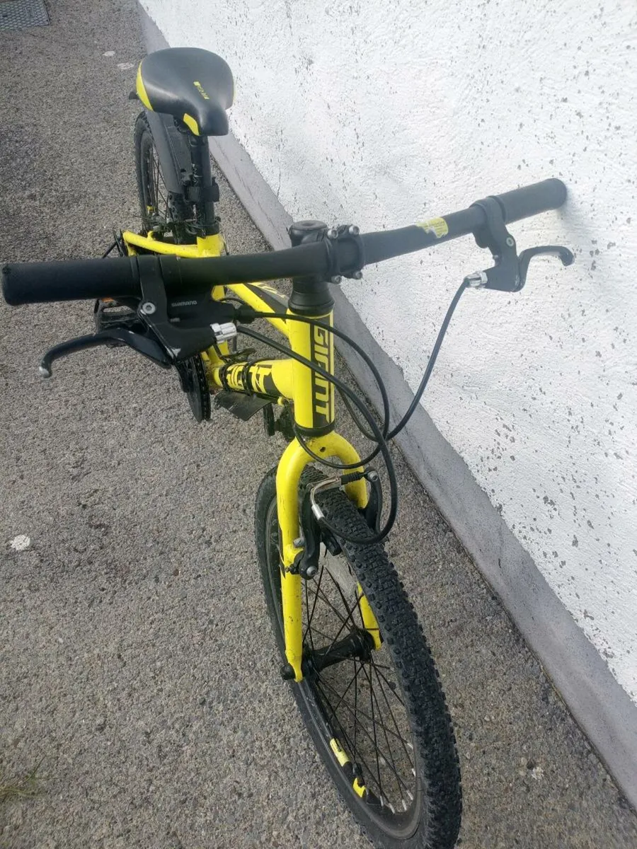 Giant Arx 20 (Lightweight kids bike) - Image 2