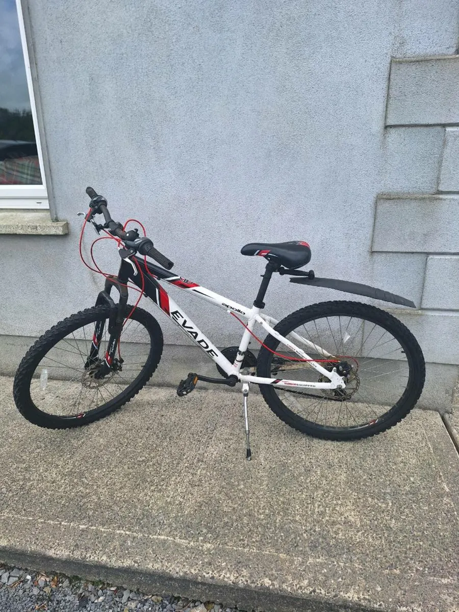 Bicycle - Image 2