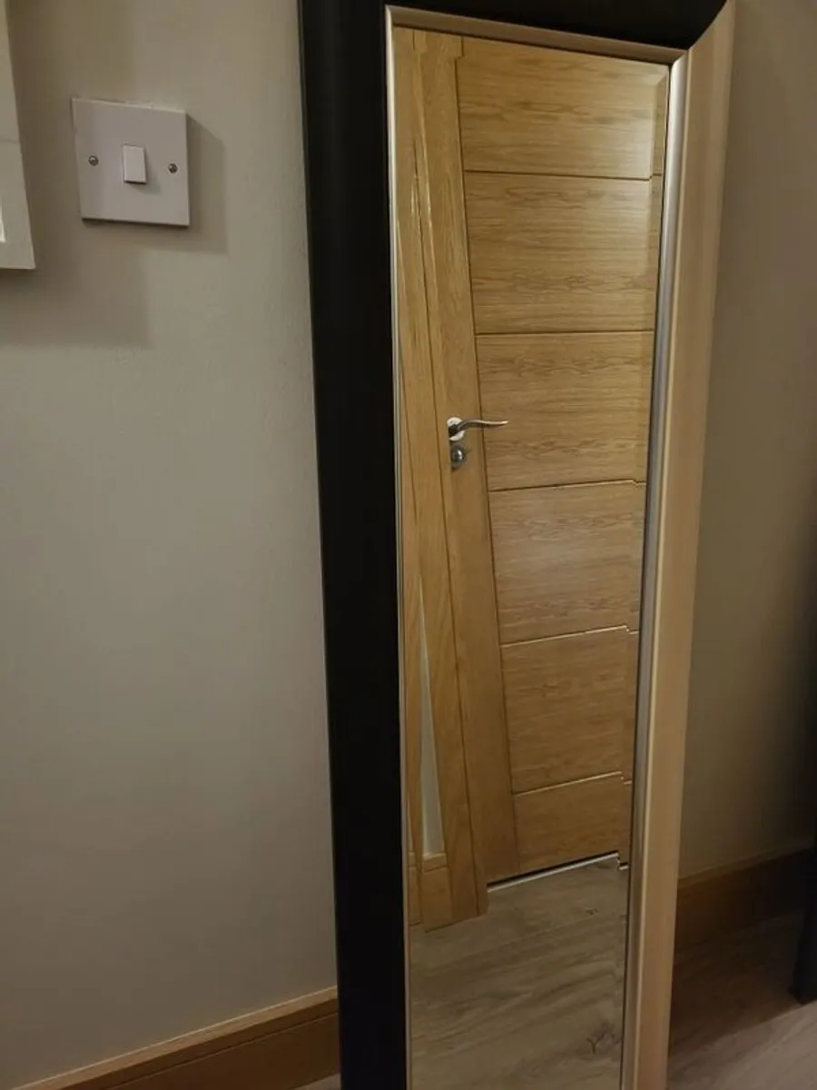 Mirrors x 2 - Image 4