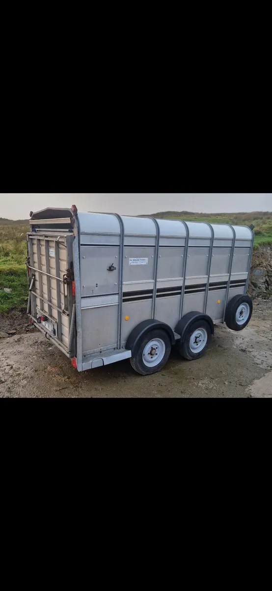 Sheep trailer - Image 1