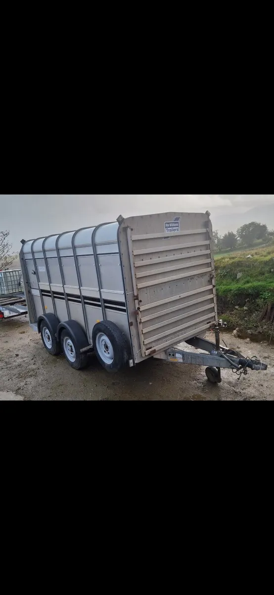 Sheep trailer - Image 2