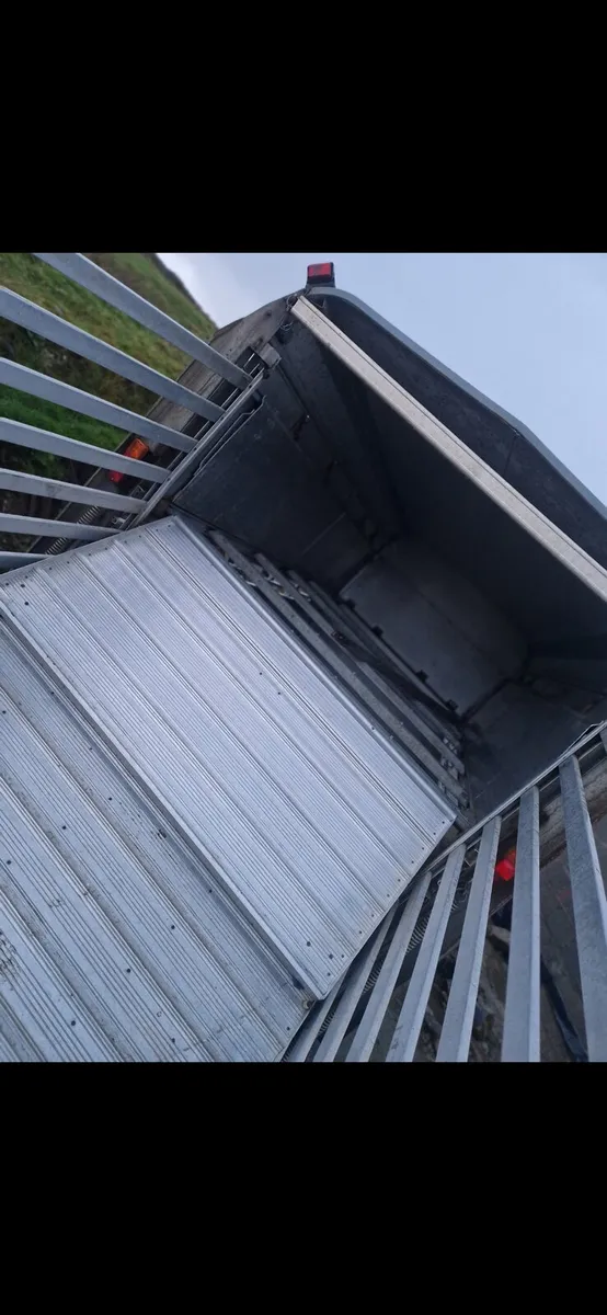Sheep trailer - Image 4